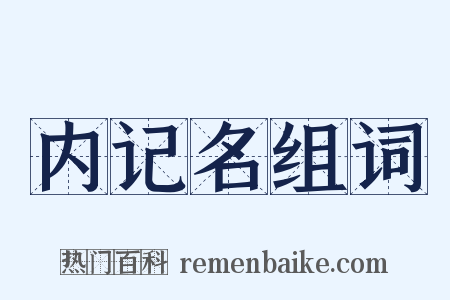 内记名组词是什么意思的图片